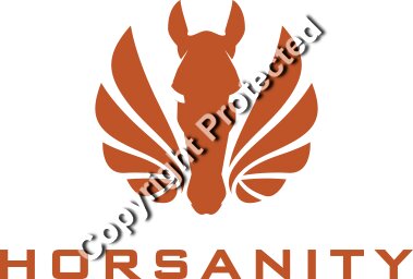 logo no square