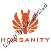 Logo type orange